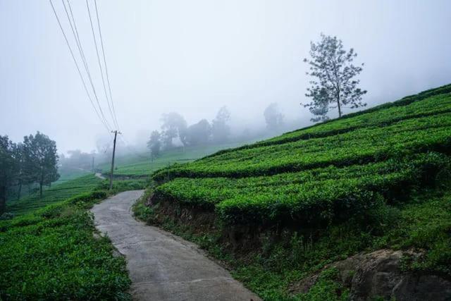Lime Light Resort Munnar Exterior photo